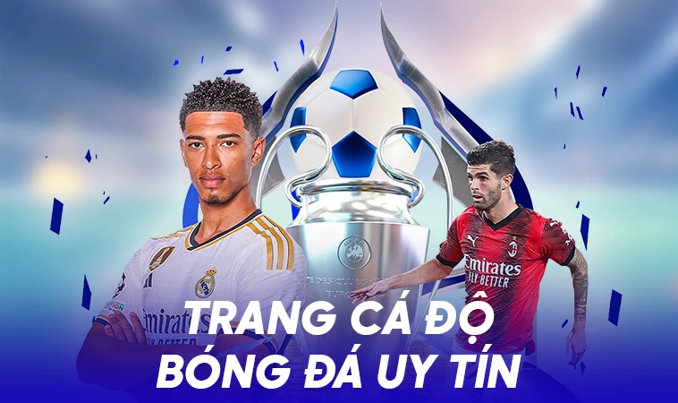 Trang cá độ bóng đá uy tín, đáng tin cậy