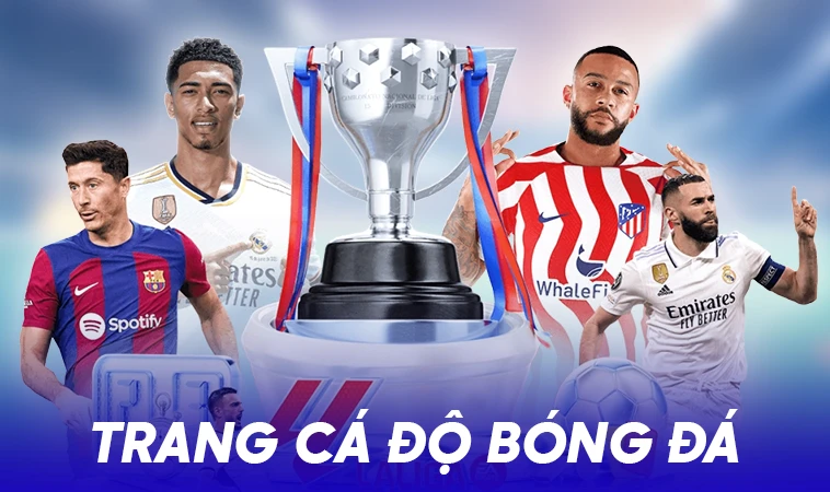 Trang cá độ bóng đá an toàn, chất lượng để tham gia cá cược